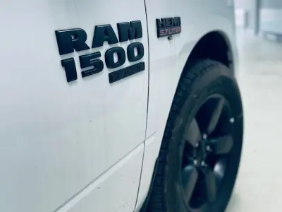 Detailreinigung - Emblem und Schriftzug